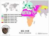 徐州倪红阁商贸有限公司