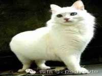 徐州倪红阁商贸有限公司