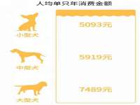 徐州倪红阁商贸有限公司