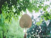 徐州倪红阁商贸有限公司