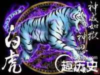 徐州倪红阁商贸有限公司