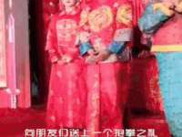 徐州倪红阁商贸有限公司