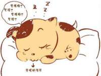 徐州倪红阁商贸有限公司