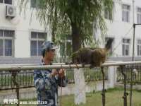 徐州倪红阁商贸有限公司