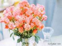 徐州倪红阁商贸有限公司